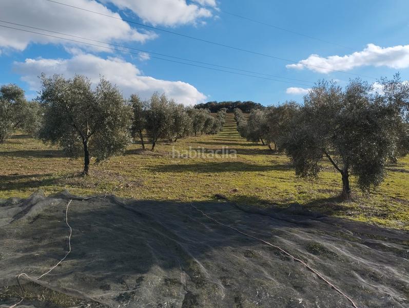 Foto a1fdd9ab-dc34-4efe-b488-6c5b812f4de5. Finca rústica a El Valle Lucena