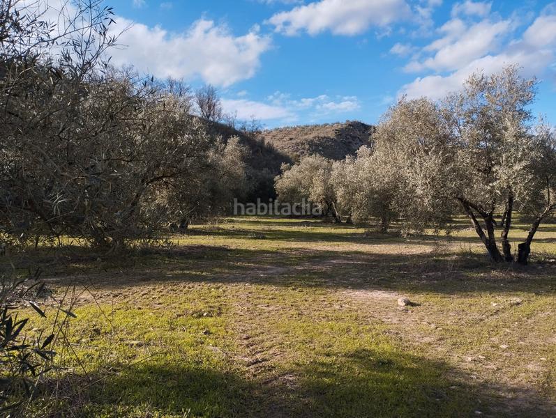 Foto d49b250c-33b7-4eb4-a1c7-cf88f9cf996e. Finca rústica a El Valle Lucena