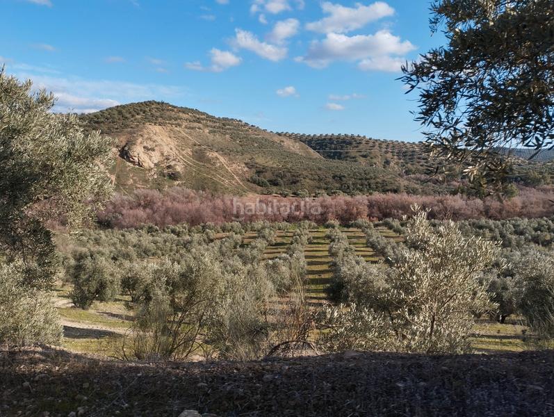 Foto e4e72a8e-e25f-4297-b0e3-4487134f48e0. Finca rústica a El Valle Lucena