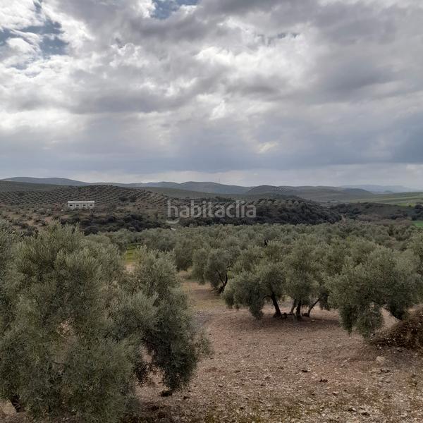 Foto f5ccba08-eea1-4709-9e0e-6811fe02b411. Finca rústica 7 hectareas de olivar con casa y nave en Encinas Reales