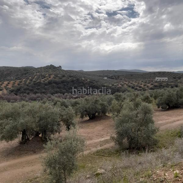 Foto db31bd71-71bf-4ba1-b5b0-904d7e35b5ab. Casale in Encinas Reales