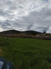Finca rústica a Avenida de andalucía 46. Terreno frente al polideportivo