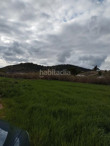 Foto 52892e25-7d00-487f-a9d5-d5f418febb5a. Finca rústica a avenida de andalucía 46 a Cabra