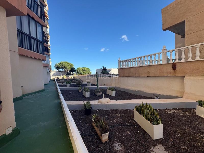 Foto db159577-db62-435a-abd5-52f4abf1fcfa. Piccolo appartamento in Cabo Cervera Torrevieja