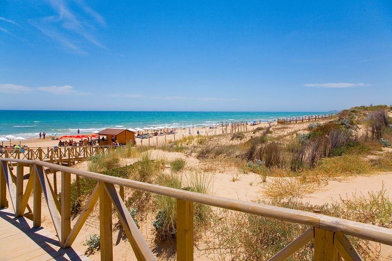 Foto 0a4dfedc-3c7f-466c-a817-49ce484e3182. Apartament amb piscina a Los Europeos Torrevieja