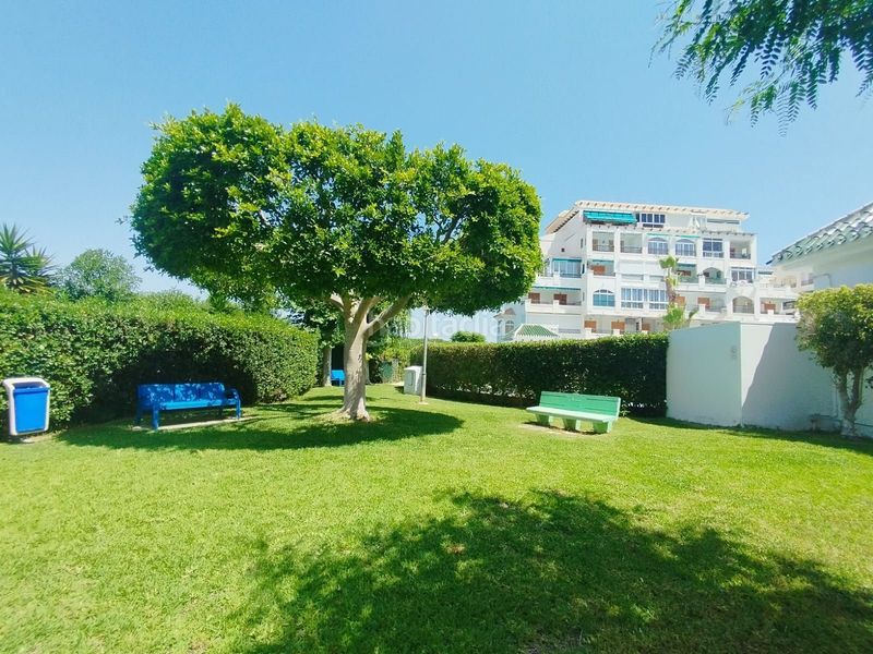Foto 6f075645-189c-45b7-9eca-c4c52e4d9331. Apartament amb piscina a Los Europeos Torrevieja