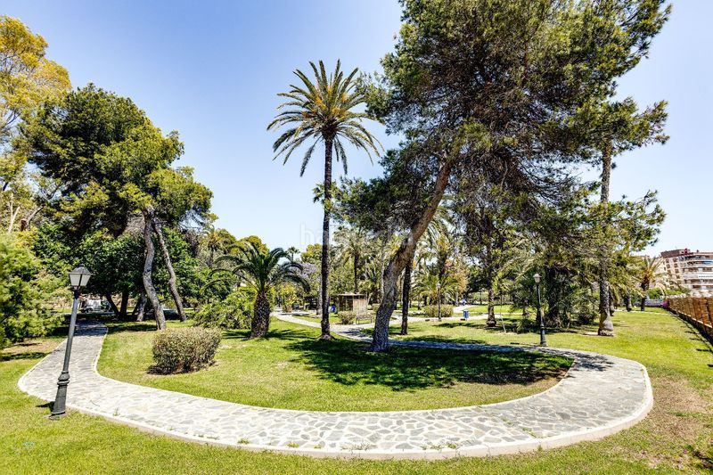 Foto bfaad39a-502c-44ee-a148-8834246c765c. Casa a El Acequión Torrevieja