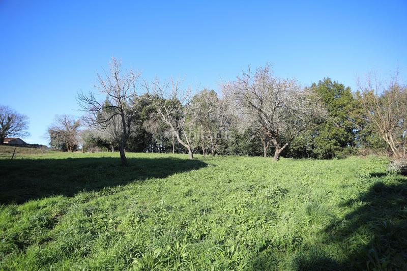 Foto 0a657665-de47-4481-a4a2-f0de0b801c55. Casa casona montañesa y gran finca urbana en la veguilla en Reocín