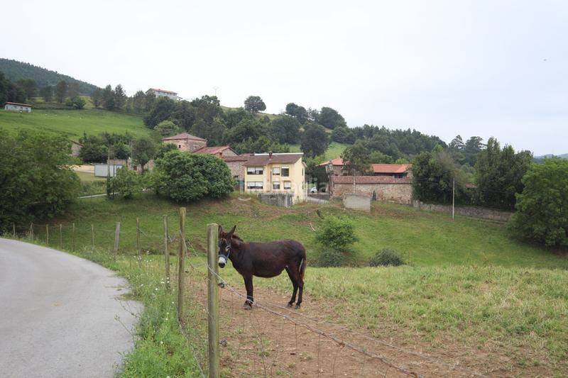Foto d09e946c-e10c-4cfa-9e00-064978420ee3. Casa amb calefacció aparcament a Castañeda