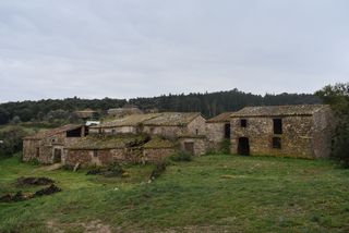 Mas à Sant Feliu de Buixalleu. Finca de 35 ha amb masia de més de 700 m2  més annexes.