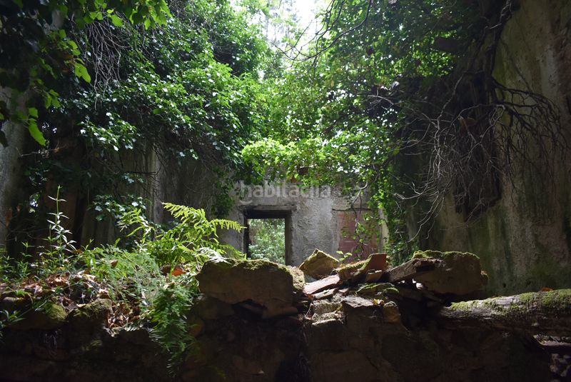 Foto bdec7d16-f8b0-44d1-822a-4935e29c173c. Finca rústica a Massanes