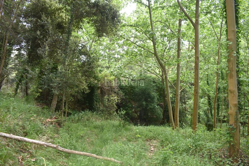 Foto d0ff8416-7d59-4331-8c4f-141fa301be63. Finca rústica a Massanes