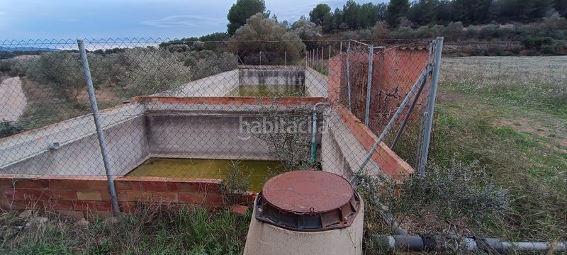Foto e45f814b-7b75-446f-84a8-c52f52d413f4. Finca rústica en avinguda de pius xii 18b en Móra d´Ebre