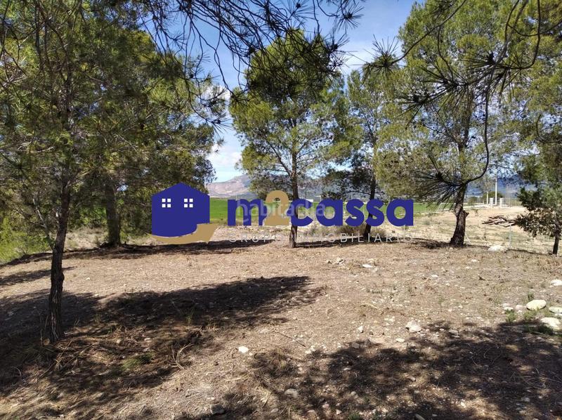 Foto 425c34b9-f45d-47bf-8b39-4e041ebbd8c1. Casa in La Tova Lorca