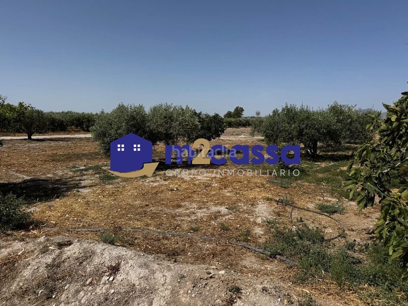 Foto 4805ee30-a102-4ce0-9758-5eab556920c4. Xalet amb aparcament a Campillo Lorca