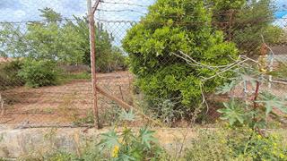 Finca rstica en Manacor Centre. Se vende terreno en zona son talent de manacor.