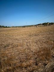 Finca rstica a Cam son moix 38. Terreno edificable son moix