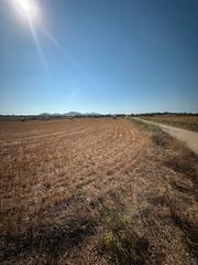 Finca rstica en Cami de son moix 909. Terreno rstico con vistas abiertas y excelente acceso cerca de