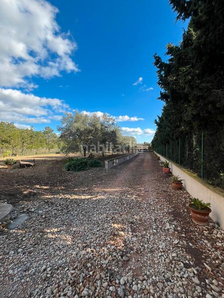 Foto 0a41363a-bbc6-4462-9d40-81f80163e2eb. Location mas dans carretera de palma 33 dans Vilafranca de Bonany