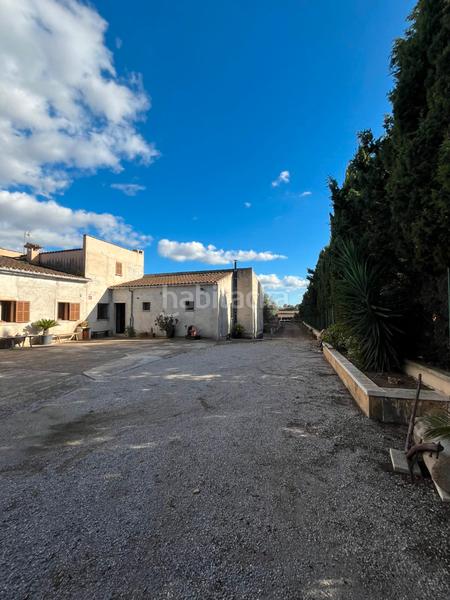 Foto ae0d8c5b-5d45-4181-84a7-807e6bf39b68. Location mas dans carretera de palma 33 dans Vilafranca de Bonany