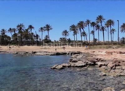 Foto 073db9c7-77a0-4231-89a7-554c884c5379. Àtic amb piscina a La Veleta Torrevieja