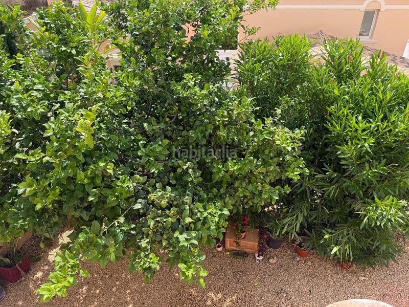 Foto c9377c11-6aa8-49d0-a0a8-a39ad9958196. Semi detached house with heating parking pool in Cometa Calp
