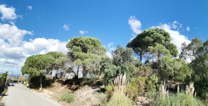 Foto e565f264-f756-4c7d-9806-fcbdd050b124. Terrain résidentiel dans rafael alberti 47 dans Lloret Residencial - Montlloret Lloret de Mar