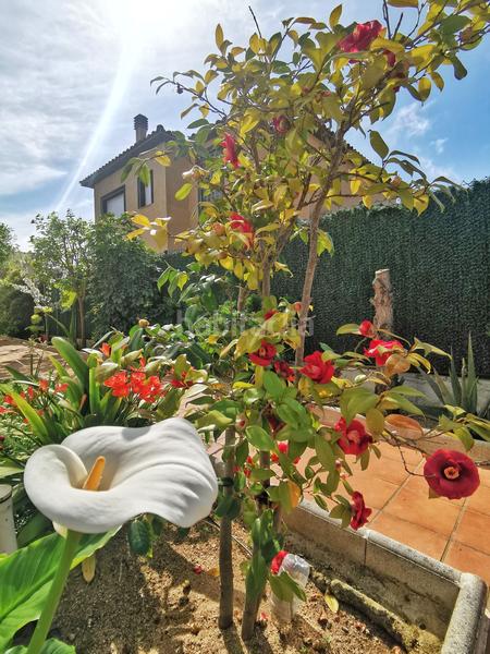 Foto 40042493-ba32-4a2e-94c8-88ae406e6e2f. Casa amb calefacció aparcament piscina a Fenals Lloret de Mar