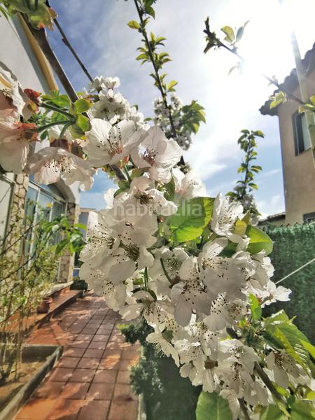 Foto e1065159-d2f8-4565-8cb3-f1af1a6bcf4a. Casa amb calefacció aparcament piscina a Fenals Lloret de Mar