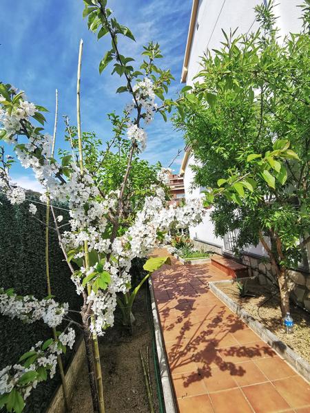 Foto 1bf0c180-3a08-429a-a19f-b036ef015f34. House with heating parking pool in Fenals Lloret de Mar