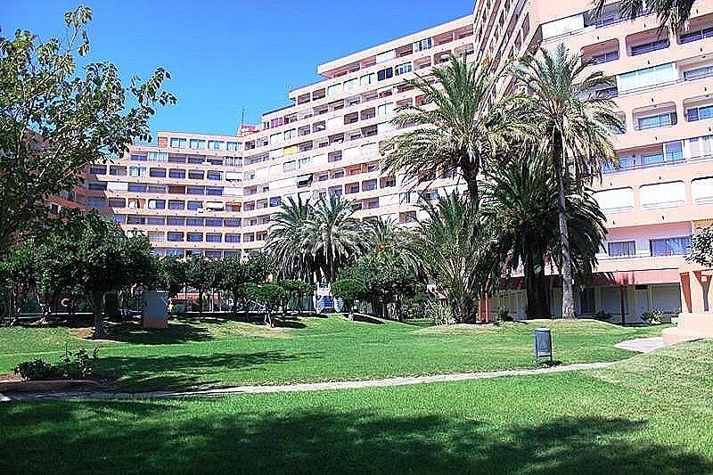 Foto fac638c8-0168-41d8-932e-cecd9fa653a8. Estudio  vista mar en Santa Margarida Roses