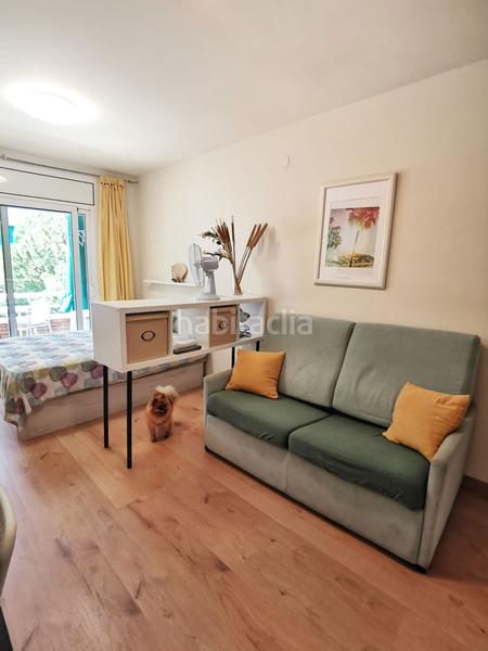 Foto 4c4cc8a9-4d4d-4a09-b4c2-7d787699ac71. Estudio en Fenals Lloret de Mar