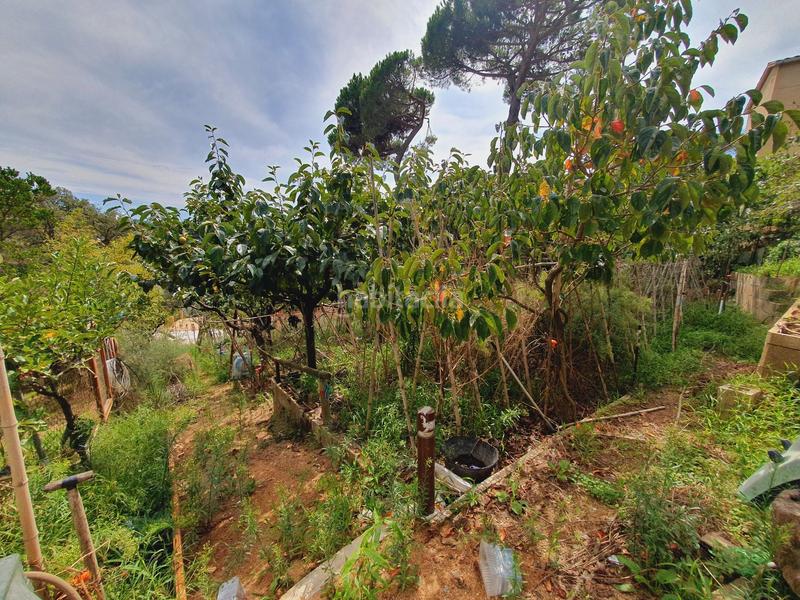 Foto 3fda35cc-c255-4460-a3c0-7e639e5d3012. Casa amb calefacció a Lloret Residencial - Montlloret Lloret de Mar