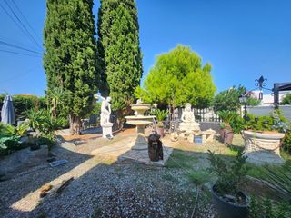 Pis a Santa Margarida