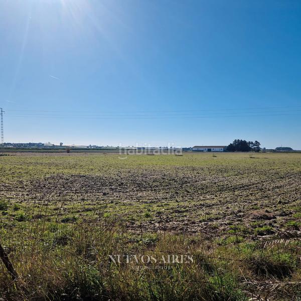 Foto 2cbff152-18e0-4de0-922a-42a8663a23f9. Fondo rustico in camino los llanos 361 in Centro Chipiona