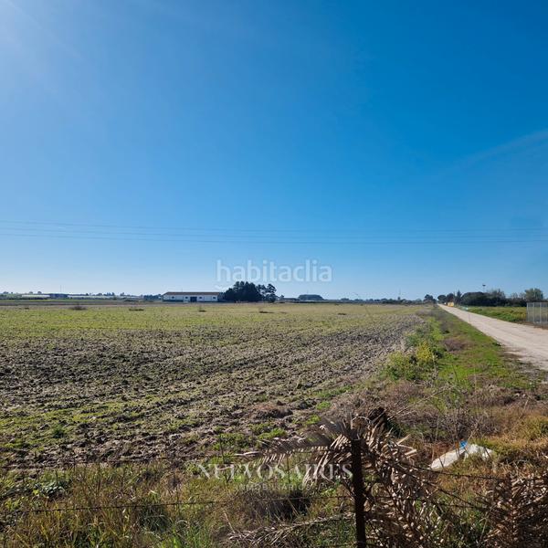 Foto fb056790-a206-43b9-9dac-ad7bcc8827de. Propriété dans camino los llanos 361 dans Centro Chipiona