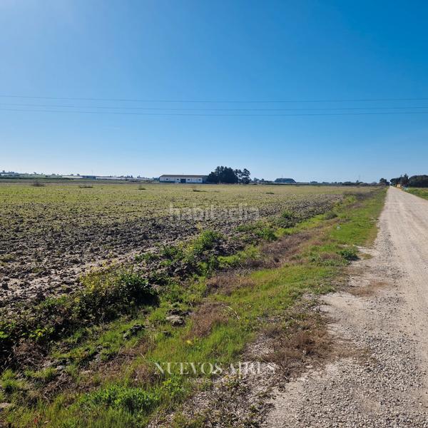 Foto 8ab08ef8-5735-4e39-b415-554841c8c3a2. Finca rústica a camino los llanos 361 a Centro Chipiona