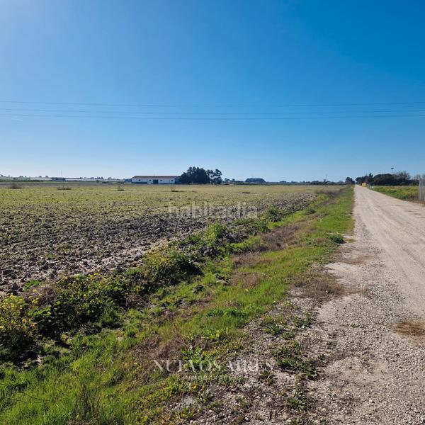 Foto 25fc00bc-e2ea-456a-9f70-875d5880ed1a. Finca rústica en camino los llanos 361 en Centro Chipiona