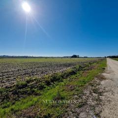 Fondo rustico in Camino los llanos 361