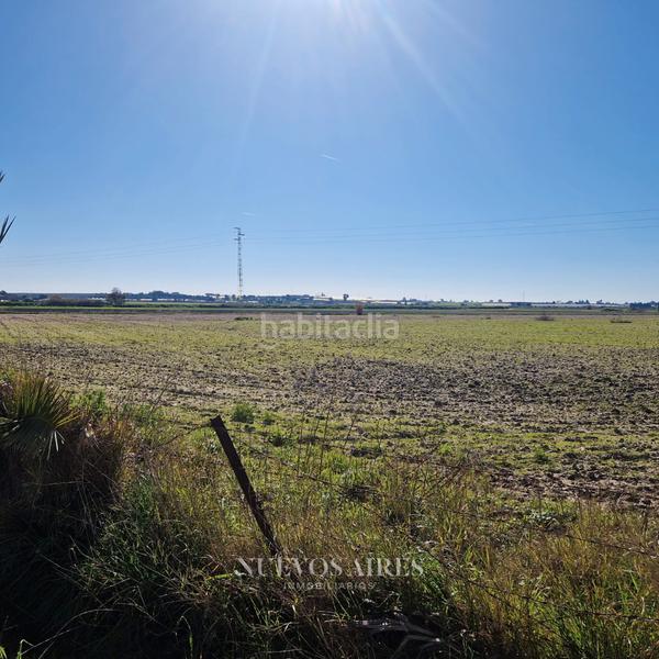 Foto b9a6ed8a-e47d-40e8-8a76-a517f6ffd265. Finca rústica en camino los llanos 361 en Centro Chipiona