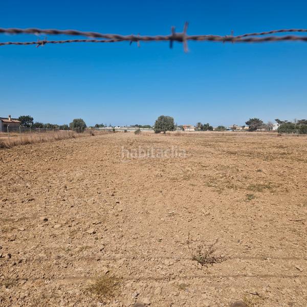 Foto 1a606bd8-9ef5-4bc7-8910-c25c65922f16. Landgut in Chipiona norte Chipiona