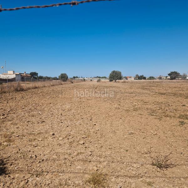 Foto 98d47f4f-6ffc-4c54-b154-132be0feb959. Landgut in Chipiona norte Chipiona