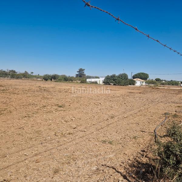 Foto 893c7586-5fc0-4c67-bde3-8d37d1b83b1a. Propriété dans Chipiona norte Chipiona