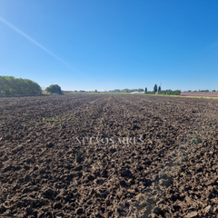 Fondo rustico in Centro. Nuevo terreno en camino del alcornocal