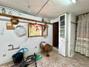 Ampliar foto b0fcabf0-cff5-4bb4-bc82-65fd49eed7b6.jpg