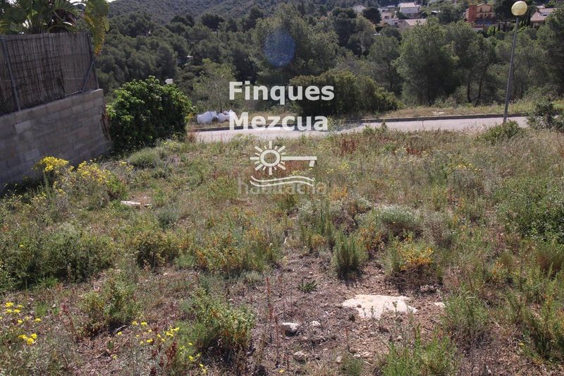 Foto 80ba870c-cca3-4c5e-8f29-88195ecdd2fd. Finca rústica a Bisbal del Penedès (La)