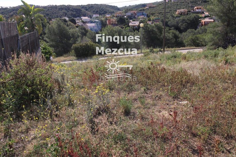 Foto 9a4da8de-8ea1-4d9c-bbf2-17bf911e1de6. Finca rústica a Bisbal del Penedès (La)