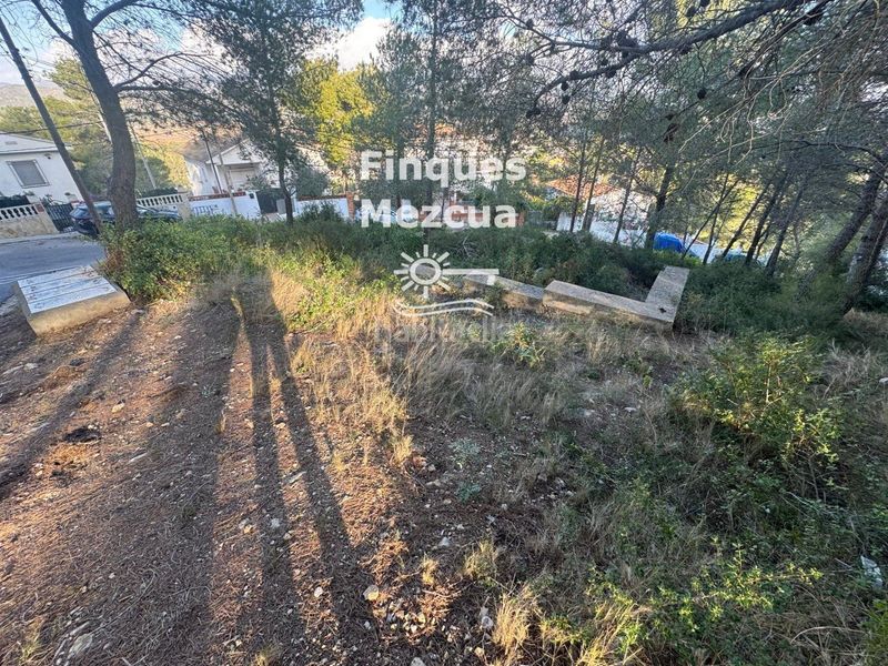 Foto 4ec1b2ec-e5e5-4a05-879a-375a9246d9d8. Finca rústica a Bisbal del Penedès (La)