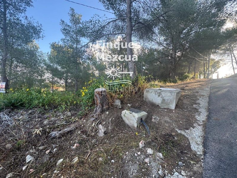 Foto 7a488c9c-dc94-4d1a-8a00-620494a347fe. Finca rústica a Bisbal del Penedès (La)