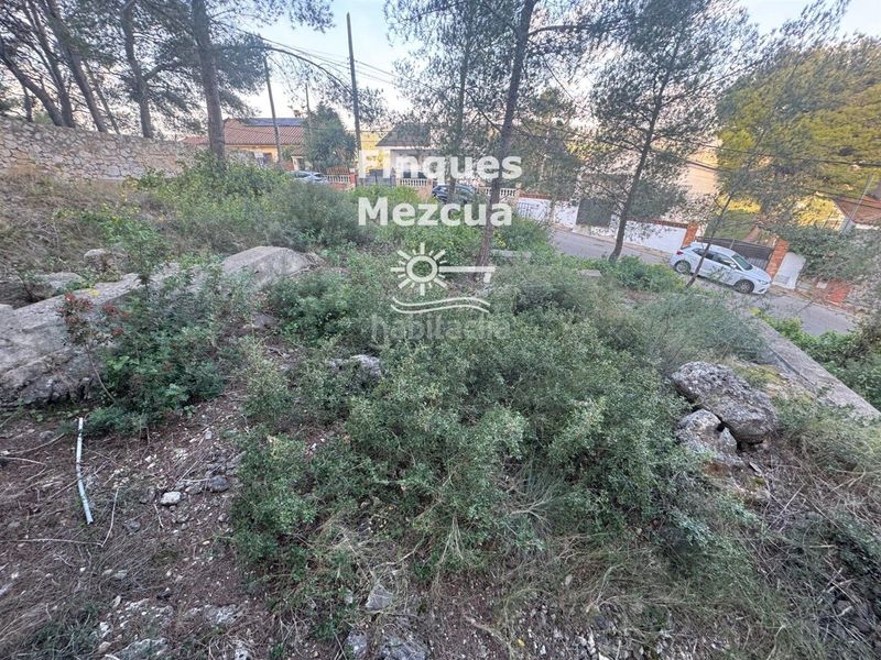 Foto 91b799bf-cd15-439d-9641-a925f9c68602. Finca rústica a Bisbal del Penedès (La)